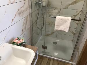 a bathroom with a shower and a sink at Zielony Zakątek Przeciszów Zator in Przeciszów