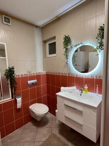 La salle de bains est pourvue de toilettes, d'un lavabo et d'un miroir. dans l'établissement Apartman Ines - Osijek, à Osijek