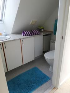 y baño con aseo, lavabo y alfombra azul. en Hunetorpvej Holiday Apartment en Blokhus