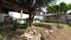 Κήπος έξω από το Casa di Elena - Iglesias