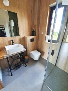 a bathroom with a sink and a toilet at Majołka- kameralna Stodoła w Izerach na wynajem in Mirsk