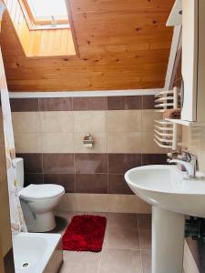 a bathroom with a toilet and a sink at Belvedere-Karpaty in Skhidnitsa