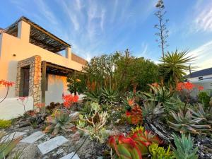 a garden in front of a house with plants at Serenity in Velddrif