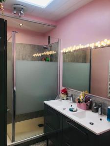 een badkamer met een wastafel en een grote spiegel bij Sainte Beuve Two, Terrasse Vue Mer in Boulogne-sur-Mer