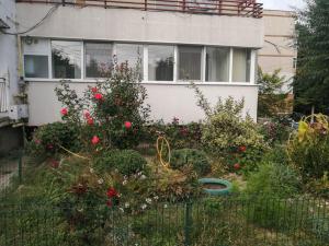 a garden in front of a house with flowers at Luxuriously flat fully equipped quality appliances in Tulcea