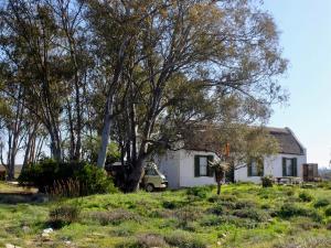a white house with a tree in a field at Moreson in Nieuwoudtville