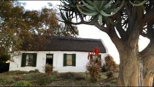 una casa blanca con ventanas verdes y un árbol en Moreson, en Nieuwoudtville