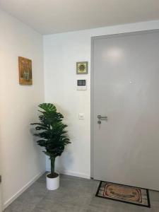 a hallway with a potted plant in front of a door at LabPark Luxury Apartment in Melano