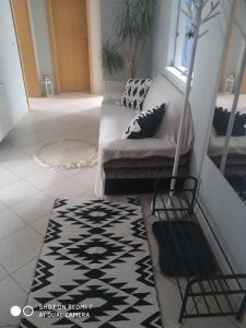 a living room with a couch and a rug at Apartament przy Słonecznej in Szczyrk