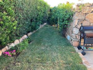 Сад в Sardinia luxury holiday +35 фотографий