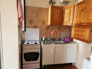 una pequeña cocina con fogones y fregadero en Casa di Adele, en Anzio