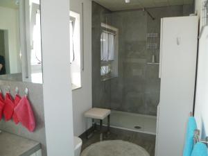 a bathroom with a shower and a toilet and a sink at Villa Xadayu in Reichenau