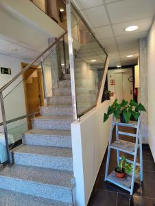 una escalera en un edificio de oficinas con una planta en Hostal Manel, en Pineda de Mar