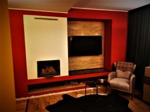 uma sala de estar com lareira e uma televisão de ecrã plano em NETFLIX & CHILL em Remetea Mare