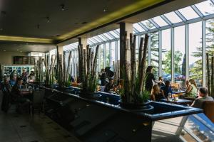 Hosté ubytování Hotel Blackfoot