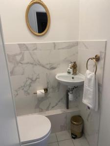 a bathroom with a sink and a toilet and a mirror at Les toits de Bailly Disney Paris in Bailly-Romainvilliers