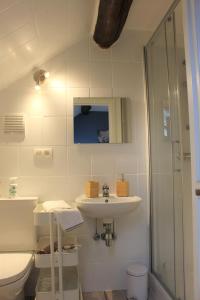a bathroom with a sink and a toilet and a shower at Logis Le P'tit Rouillon au Rythme de la Meuse in Annevoie-Rouillon
