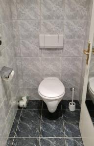 a bathroom with a white toilet and a sink at Gemütliche Wohnung am Golfplatz mit Bergblick in St. Wolfgang