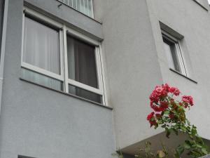 Budova, v ktorej sa apartmán nachádza
