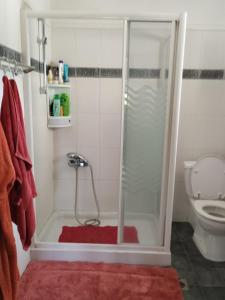 a bathroom with a shower with a red rug at Summer and Winter Villas in Néa Tríglia