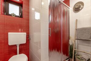 baño con aseo y pared roja en Vineyard Cottage Lan On The Hill - Happy Rentals, en Semič