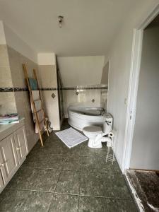 une salle de bain avec toilettes et baignoire dans l'établissement Maison de bourg, à Suèvres 7 autres photos