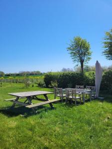 una mesa de picnic y bancos en el césped en Atma Guesthouse - cozy and simple bed & breakfast in the countryside, en Marstal