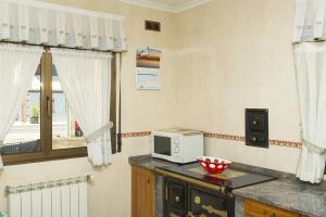 a kitchen with a counter with a microwave and a window at Apartamentos rurales La Veiga in La Riera