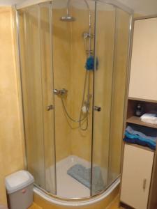 a shower stall in a bathroom with a toilet at Kellergeschoss Wohnung Moto GP Wochenende in Kraubath an der Mur +2 photos