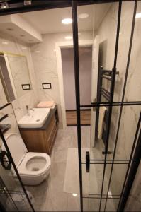 bagno con servizi igienici e lavandino di Ultima apartment a Istanbul