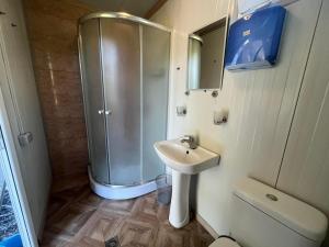 a bathroom with a shower and a sink and a toilet at Guest House Oasis - Tvishi in Tvishi