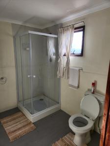 uma casa de banho com um chuveiro e um WC. em Cozy Cabin Country Cottage em Skeerpoort