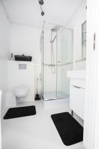 トルンにあるPrzytulny Apartament przy Starym Mieścieのシャワーとトイレ付きの白いバスルーム
