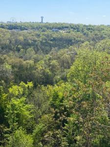 a view of a forest with a tower in the distance at The Vista in Branson