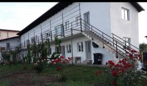 a white building with stairs and flowers in front of it at Vila Mara in Costinesti
