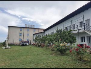 a building with a yard with plants and flowers at Vila Mara in Costinesti