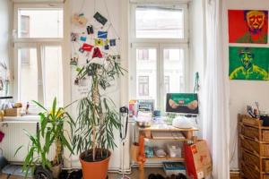 a room with two windows and plants in it at FRO-MEDIA - Streetside Room 2 - Community Space in Vienna