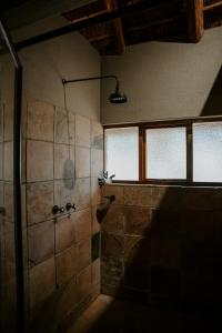 a bathroom with a shower in a room with windows at Matingwe Lodge in Vaalwater