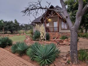 法爾瓦特的住宿－Matingwe Lodge，前面有一堆植物的房子