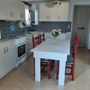 una cucina con tavolo bianco con sedie e vaso di fiori di Ada's House a Mitikas