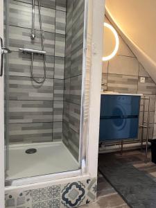 La salle de bains est pourvue d'une douche et d'une télévision. dans l'établissement Duplex Beauregard - calme & proche de la plage, à Dieppe