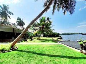 un palmier penché sur une pelouse à côté de l'eau dans l'établissement Chaleni Villa, à Bentota
