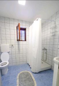 a white bathroom with a toilet and a shower at Apartman Luki in Soko Banja