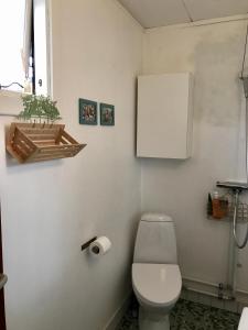 Vejby的住宿－Cutest annex - close to Heatherhill and sea :-)，一间带卫生间的浴室和墙上的植物