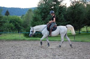 a woman is riding a white horse at Domek Trohaniec in Lutowiska