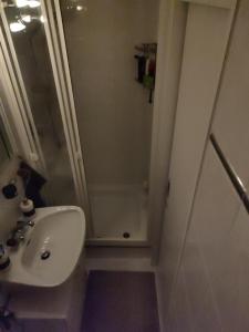 a bathroom with a sink and a shower at Apartment Salve & Sonne in Hopfgarten im Brixental