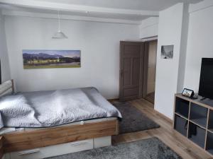 a bedroom with a bed and a flat screen tv at Apartment Salve & Sonne in Hopfgarten im Brixental