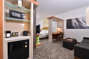 アーバインにあるスプリングヒル スイーツ アーバイン ジョン ウェイン エアポート / オレンジ カウンティのベッドとリビングルームが備わるホテルルームです。