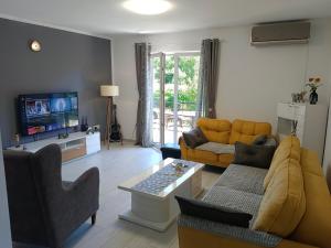 sala de estar con sofá y TV en Apartman Irvas Kolasin, en Kolašin