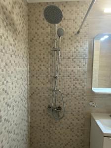 a shower with a shower head in a bathroom at Lemon in Costinesti